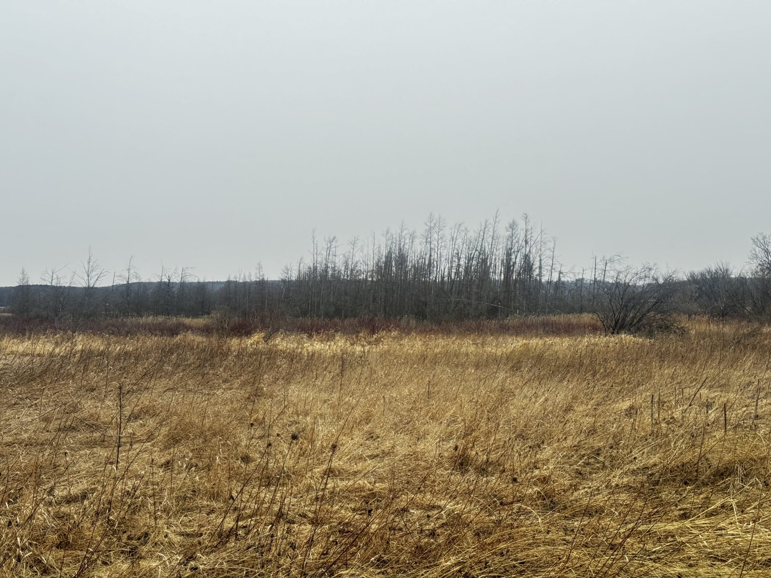 40-acre gem in Marquette County, Wisconsin
