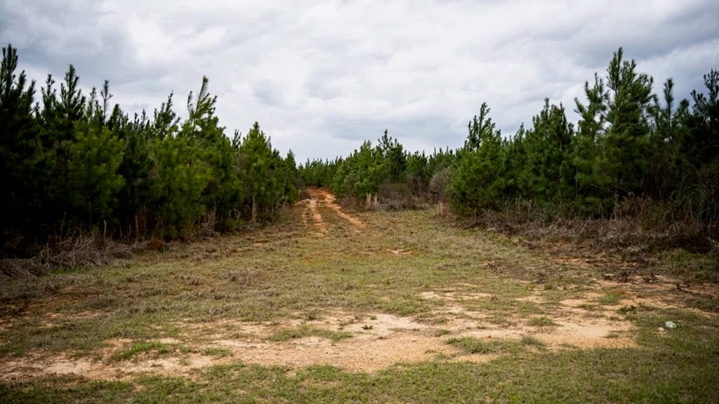Affordable Hunting Property in Amite County