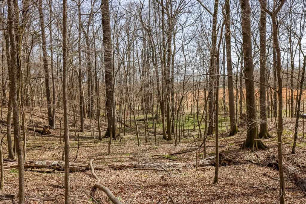Land for Sale in Warren County, MS