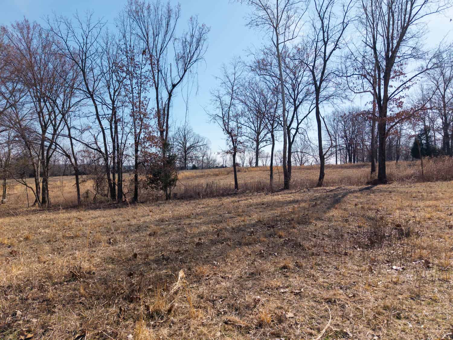 OZARKS HOBBY/HOMESTEADER PROPERTY FOR SALE CAMP ARKANSAS
