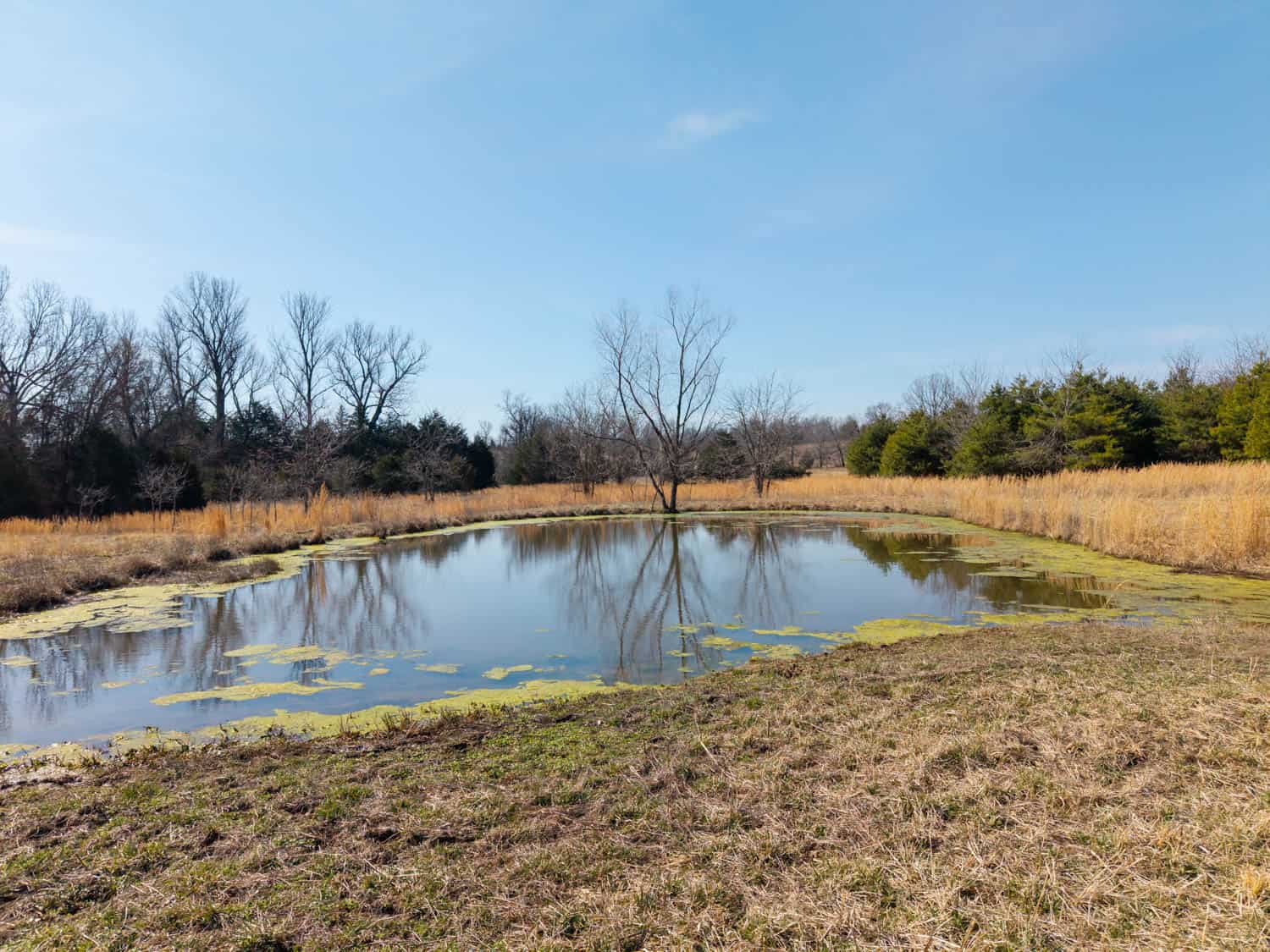 OZARKS HOBBY/HOMESTEADER PROPERTY FOR SALE CAMP ARKANSAS