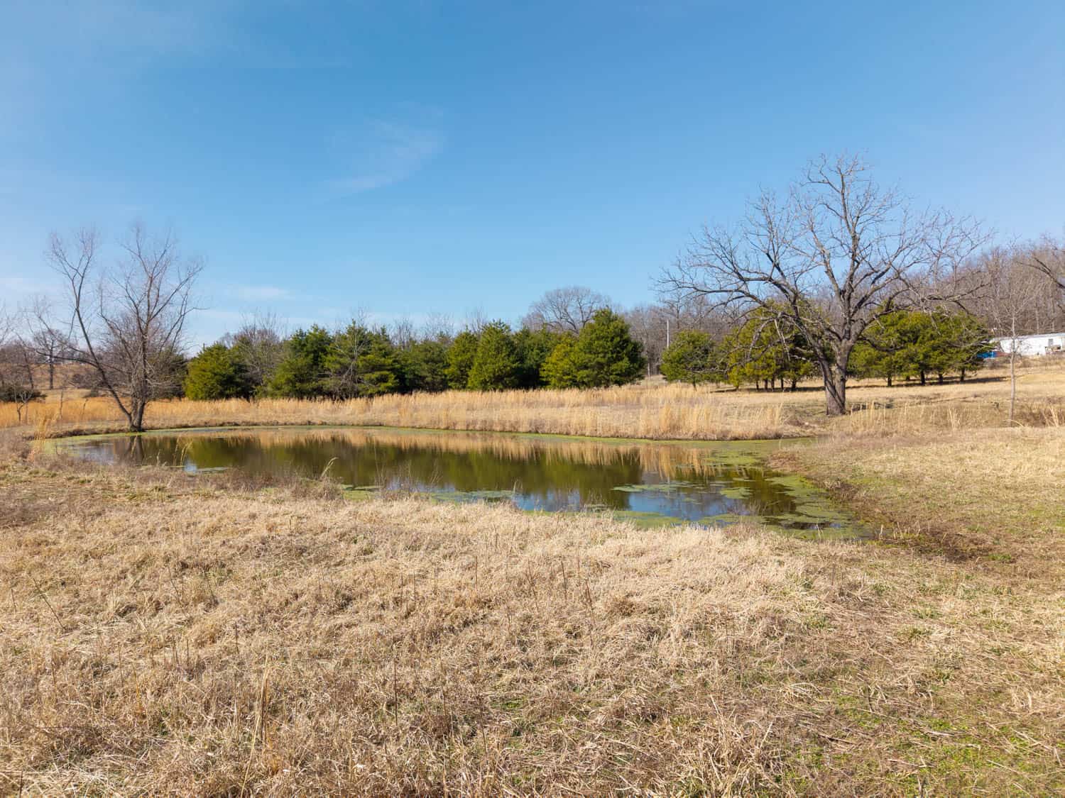 OZARKS HOBBY/HOMESTEADER PROPERTY FOR SALE CAMP ARKANSAS