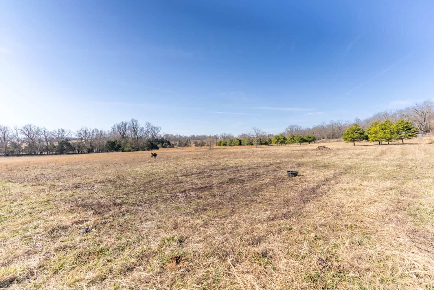 OZARKS HOBBY/HOMESTEADER PROPERTY FOR SALE CAMP ARKANSAS
