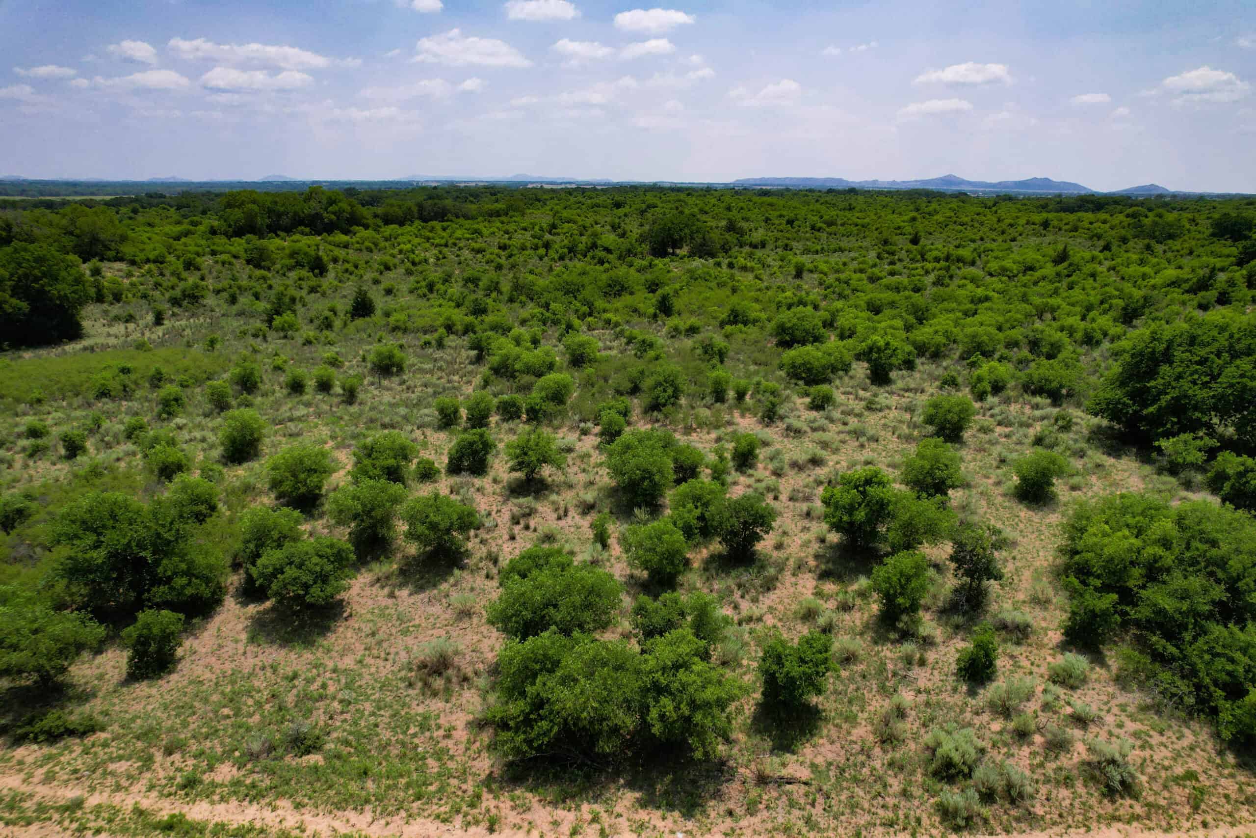 Multi-Property Auction Greer and Kiowa County Land Oklahoma