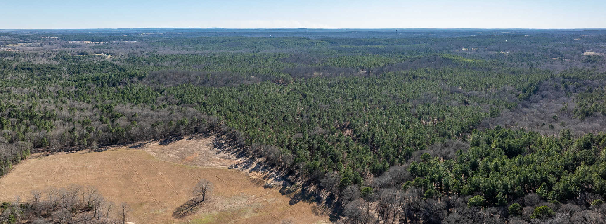 Premier East Texas Hunting & Timberland for Sale – 699 Acres in Ben Wheeler, TX