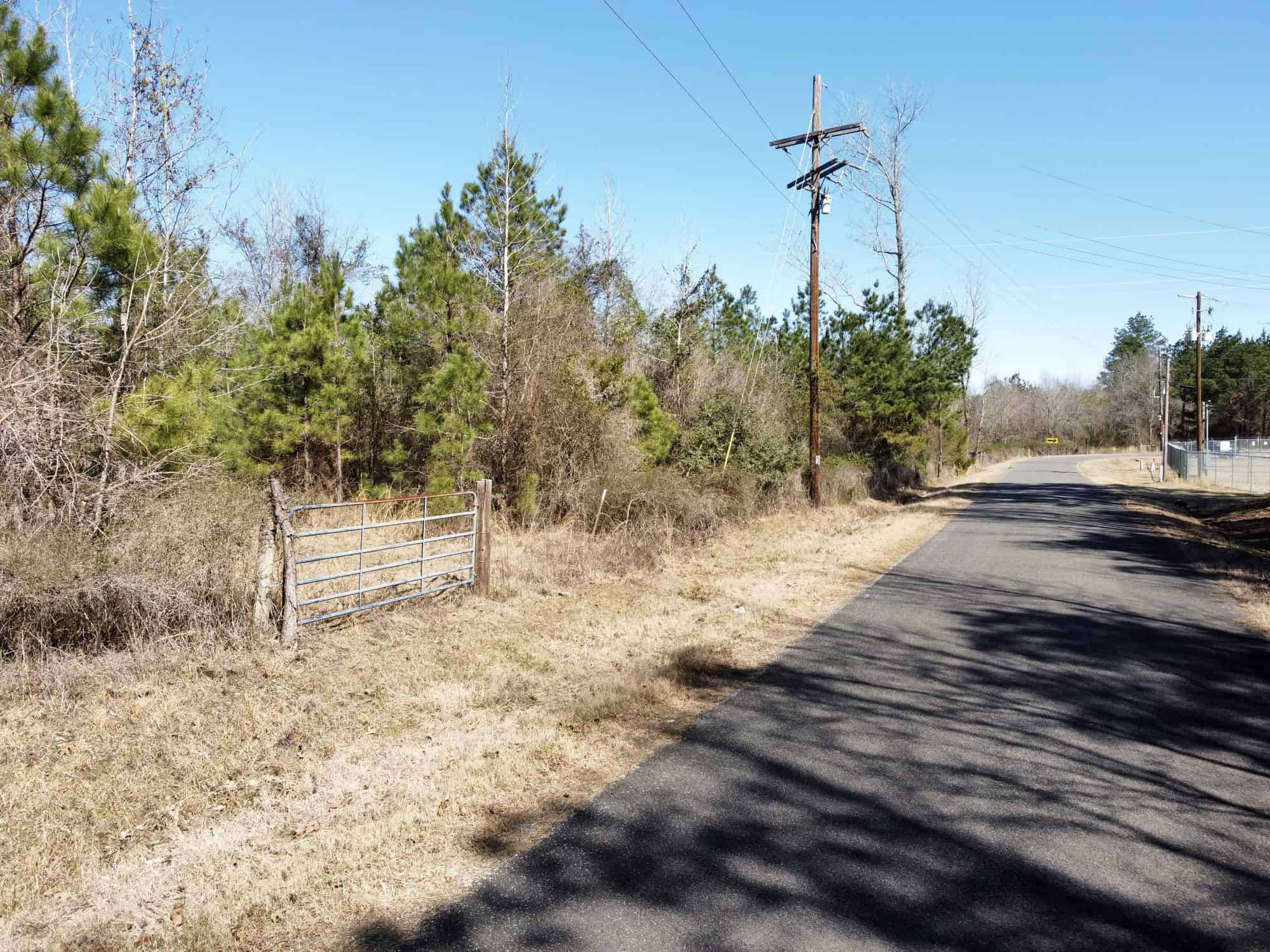 Woodville 101 – SW Lincoln Parish Timber Tract