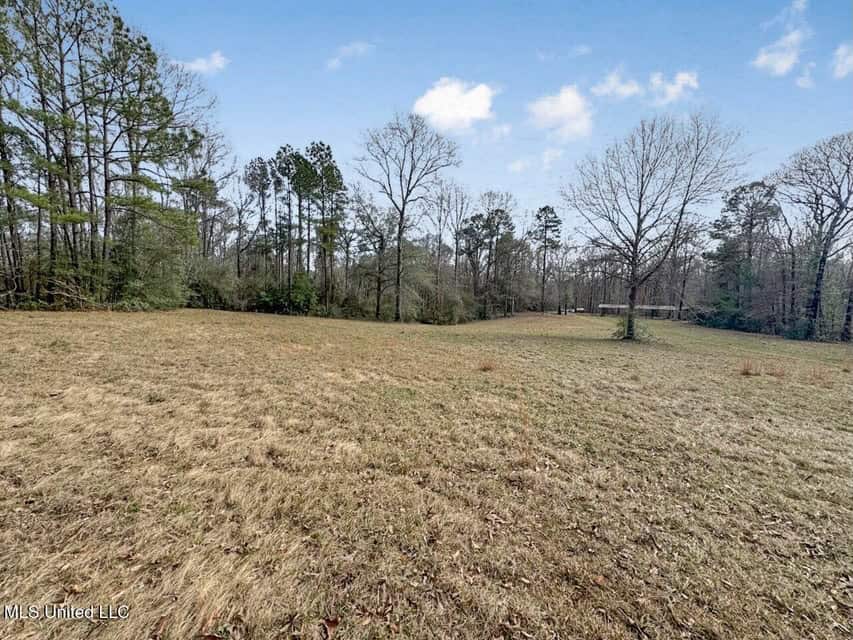 20 Acres and Cabin Adjoining Homochitto National Forest
