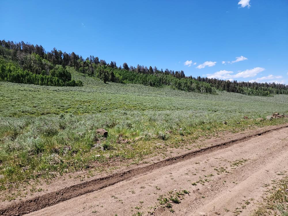 40 Acres in Powderhorn, CO