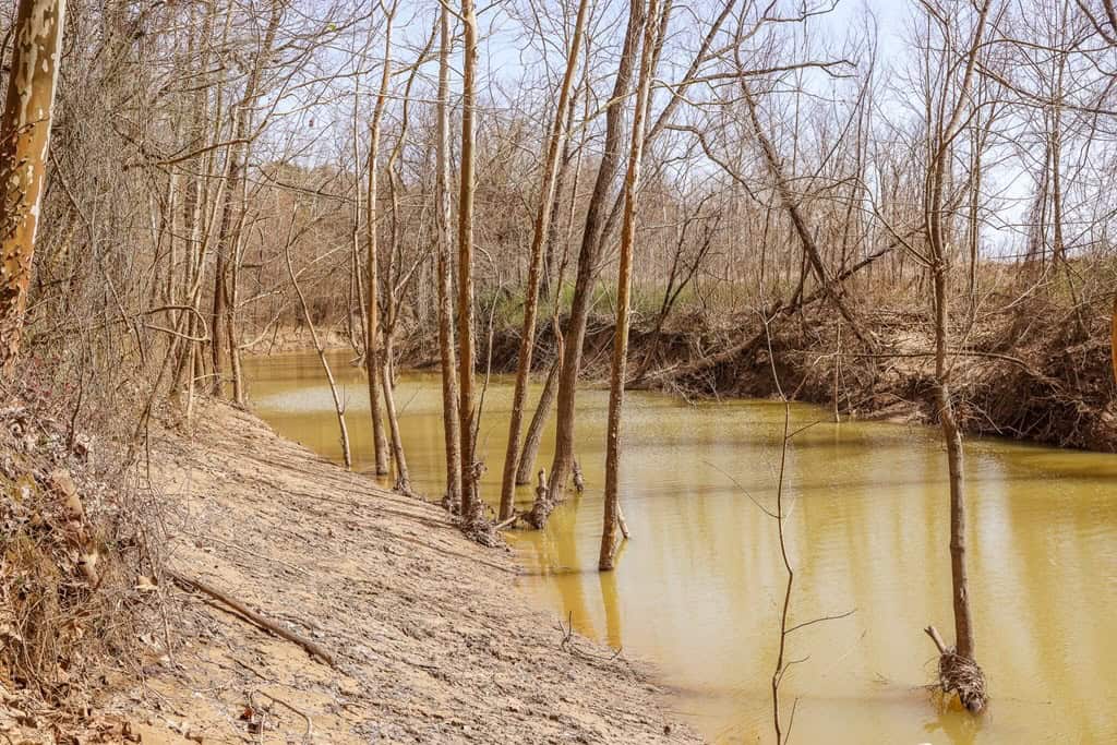 Land for Sale in Warren County, MS