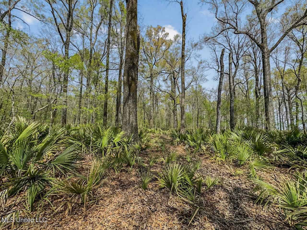 Affordable Deer/Duck Combination in Concordia Parish