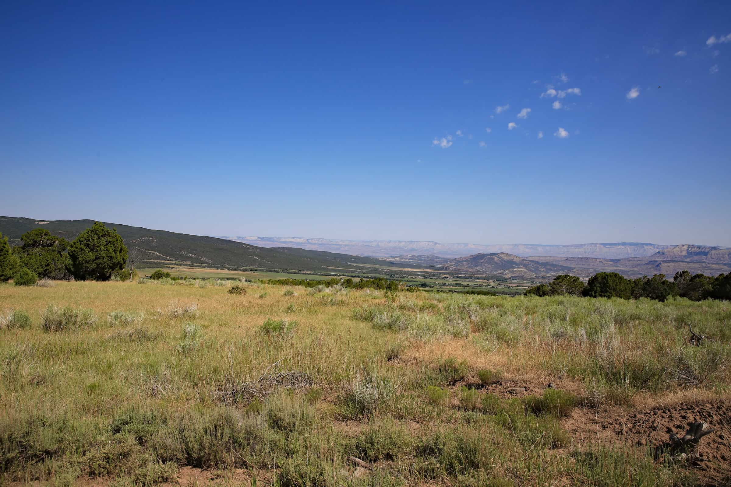 Colorado Land For Sale Borders Public Land National Forest and BLM