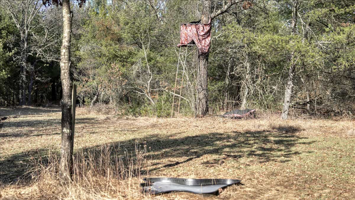 Premier Hunting and Recreational Property in Monroe County