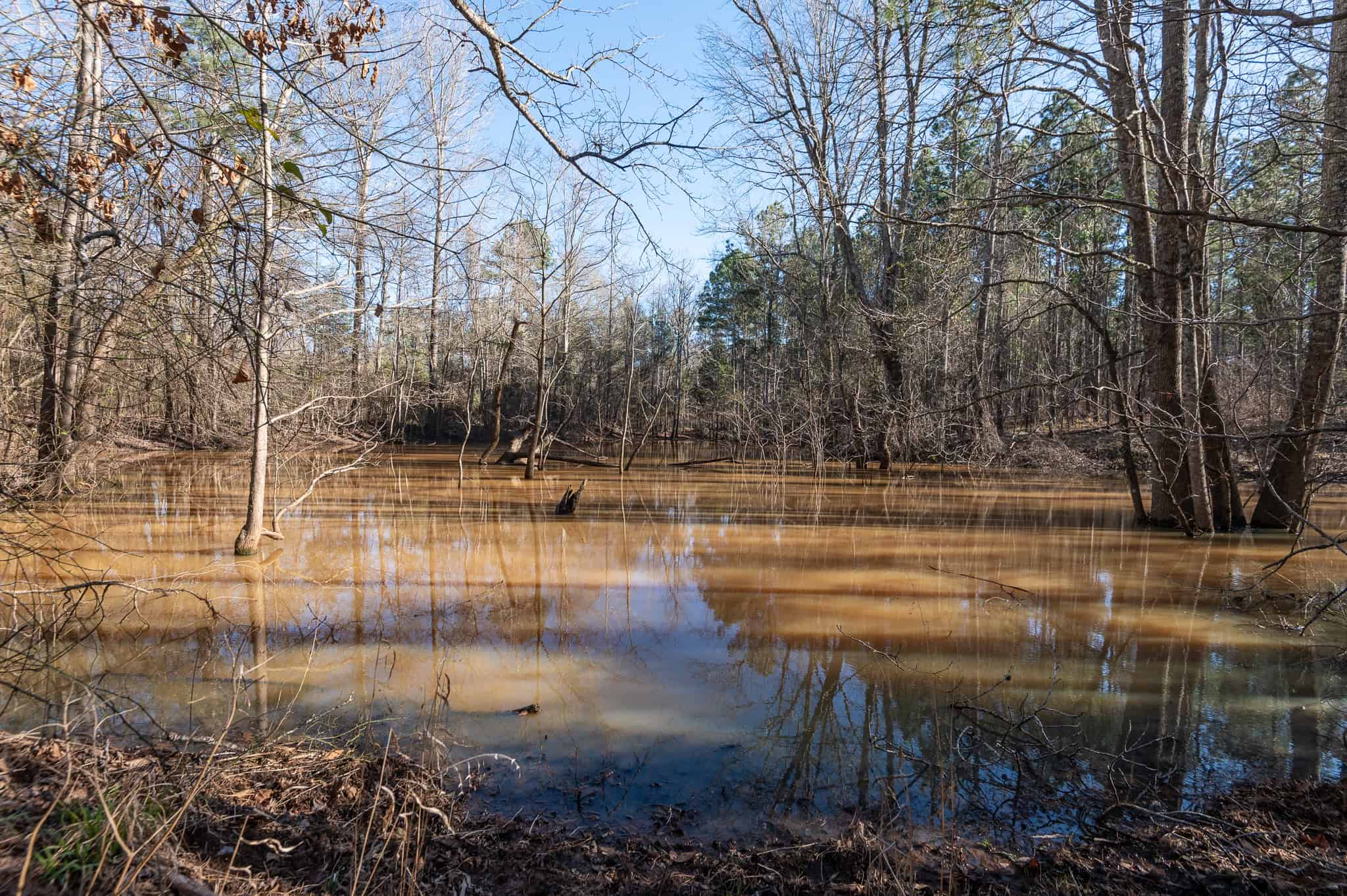 Premier East Texas Hunting & Timberland for Sale – 699 Acres in Ben Wheeler, TX