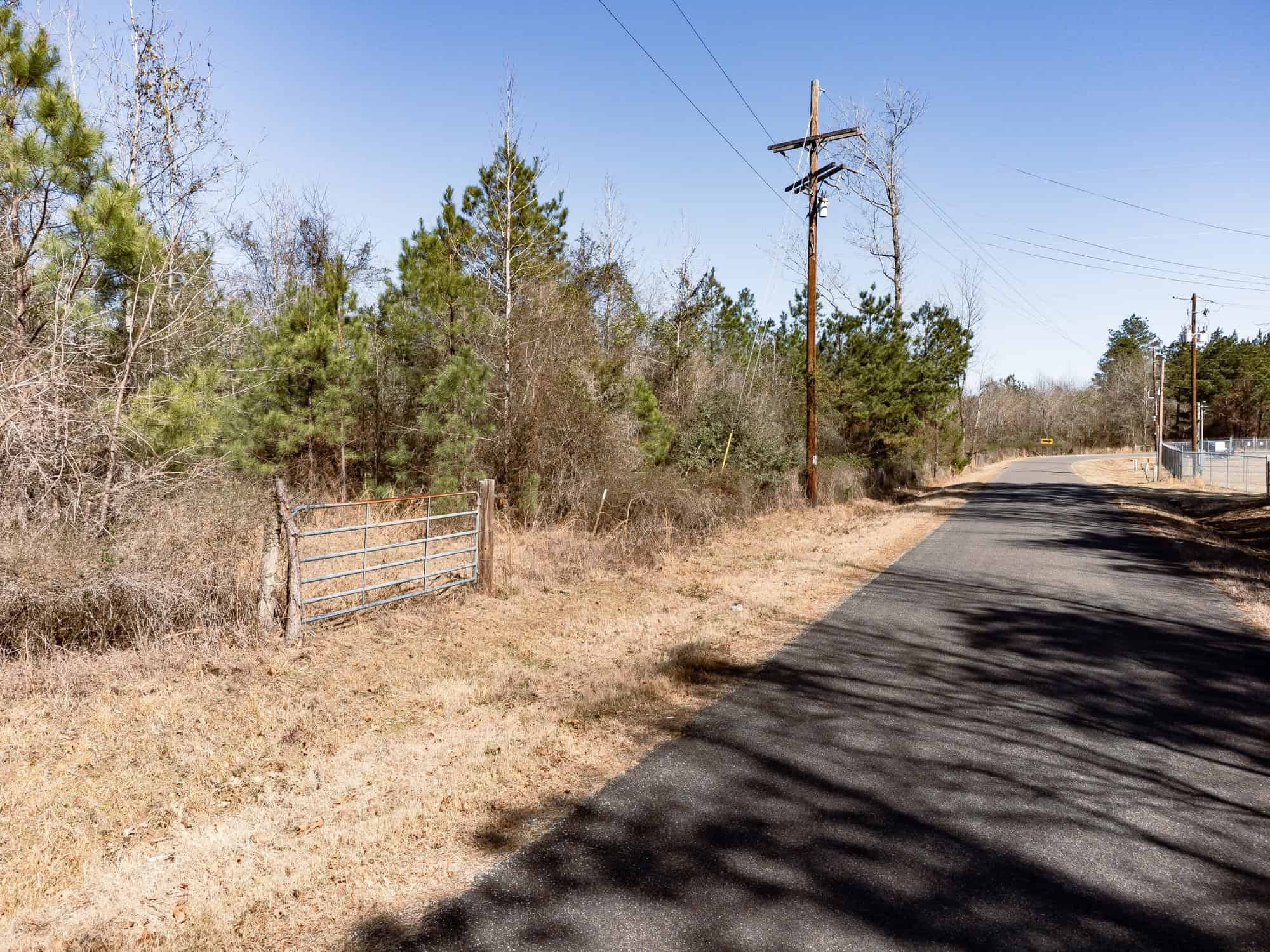 Woodville 54 – SW Lincoln Parish Timber Tract