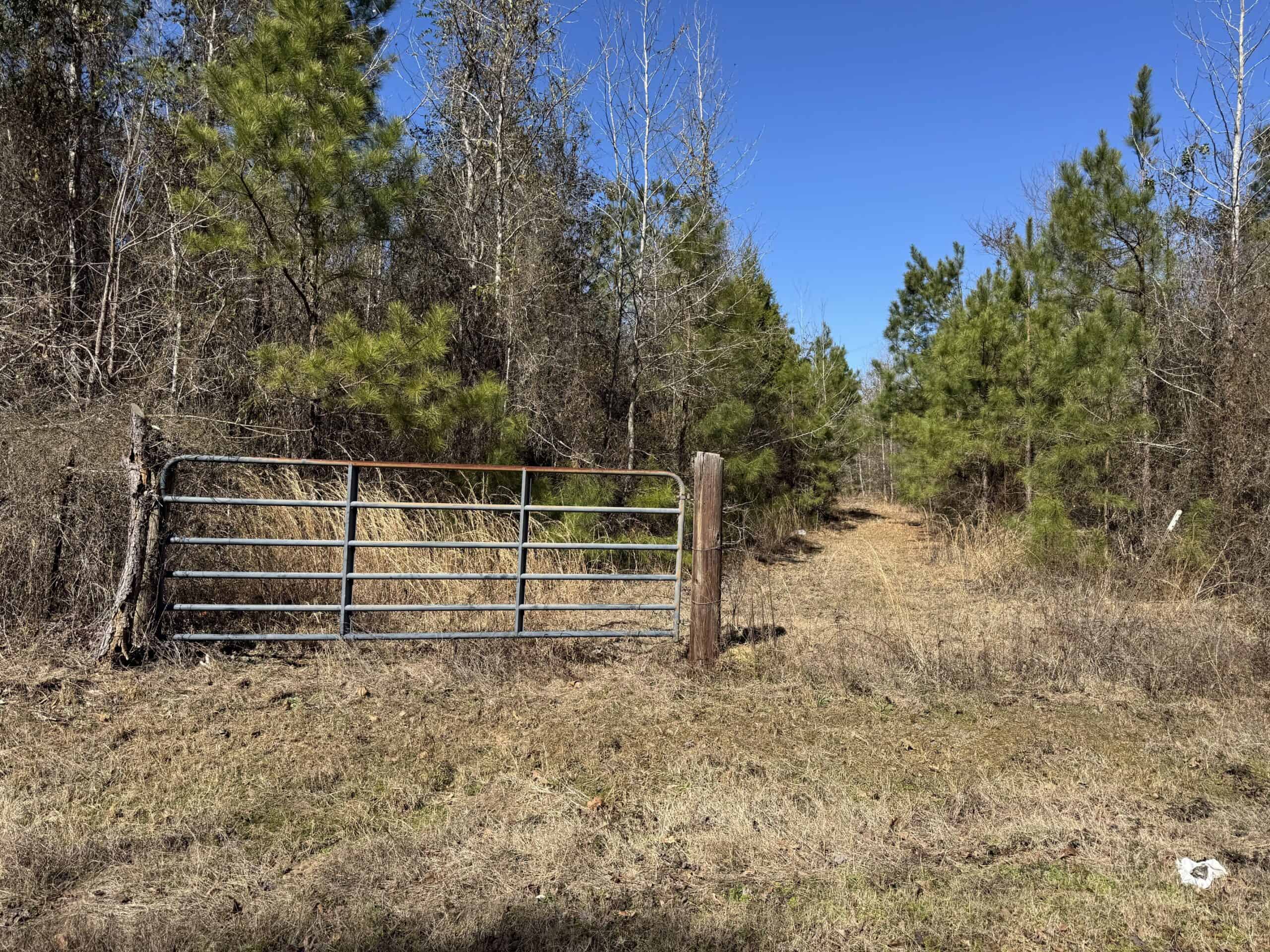 Woodville 45 – SW Lincoln Parish Timber Tract