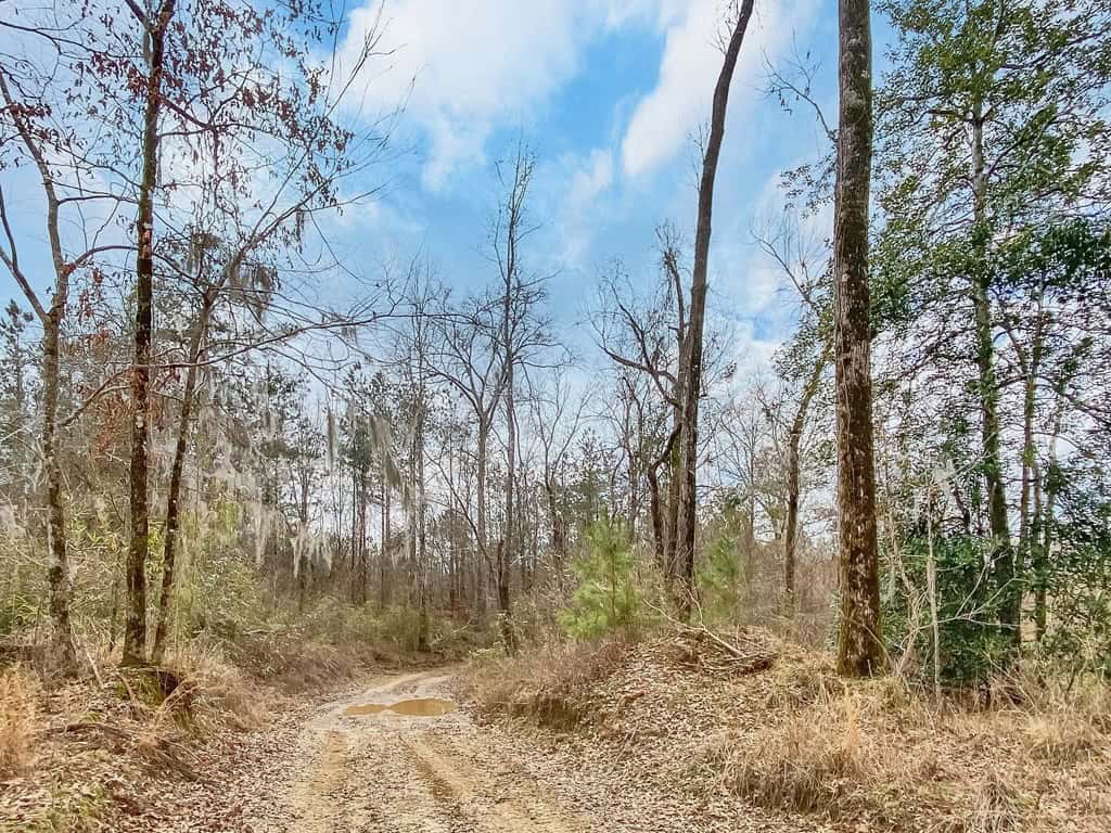 1001 Travelers Rest Road