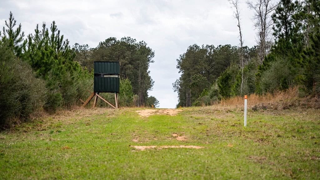 Affordable Hunting Property in Amite County