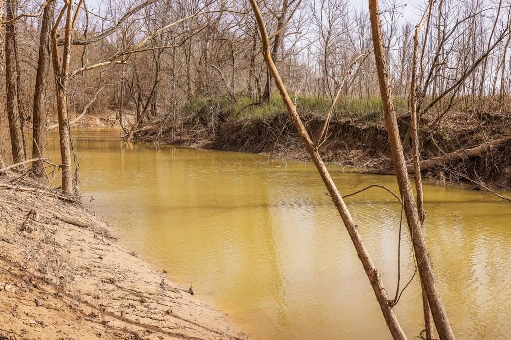 Land for Sale in Warren County, MS