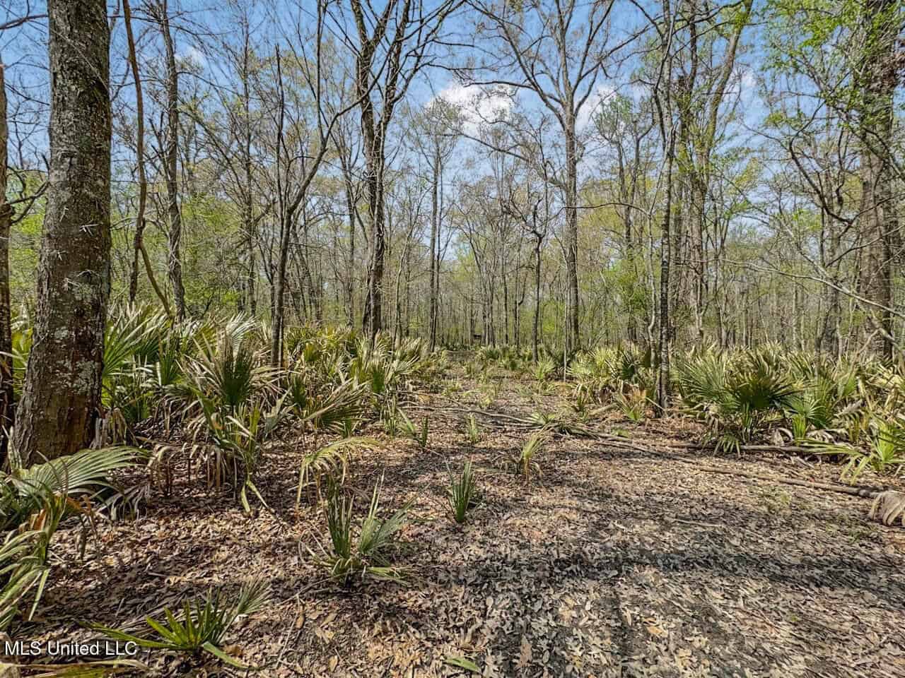 Affordable Deer/Duck Combination in Concordia Parish