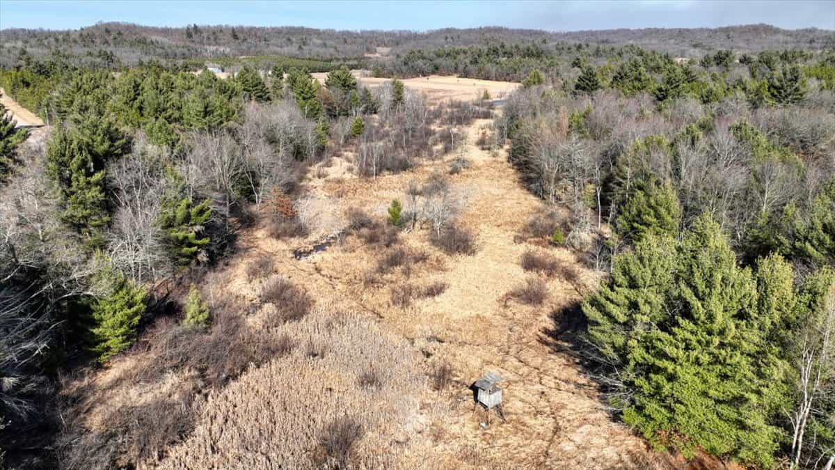 Premier Hunting and Recreational Property in Monroe County