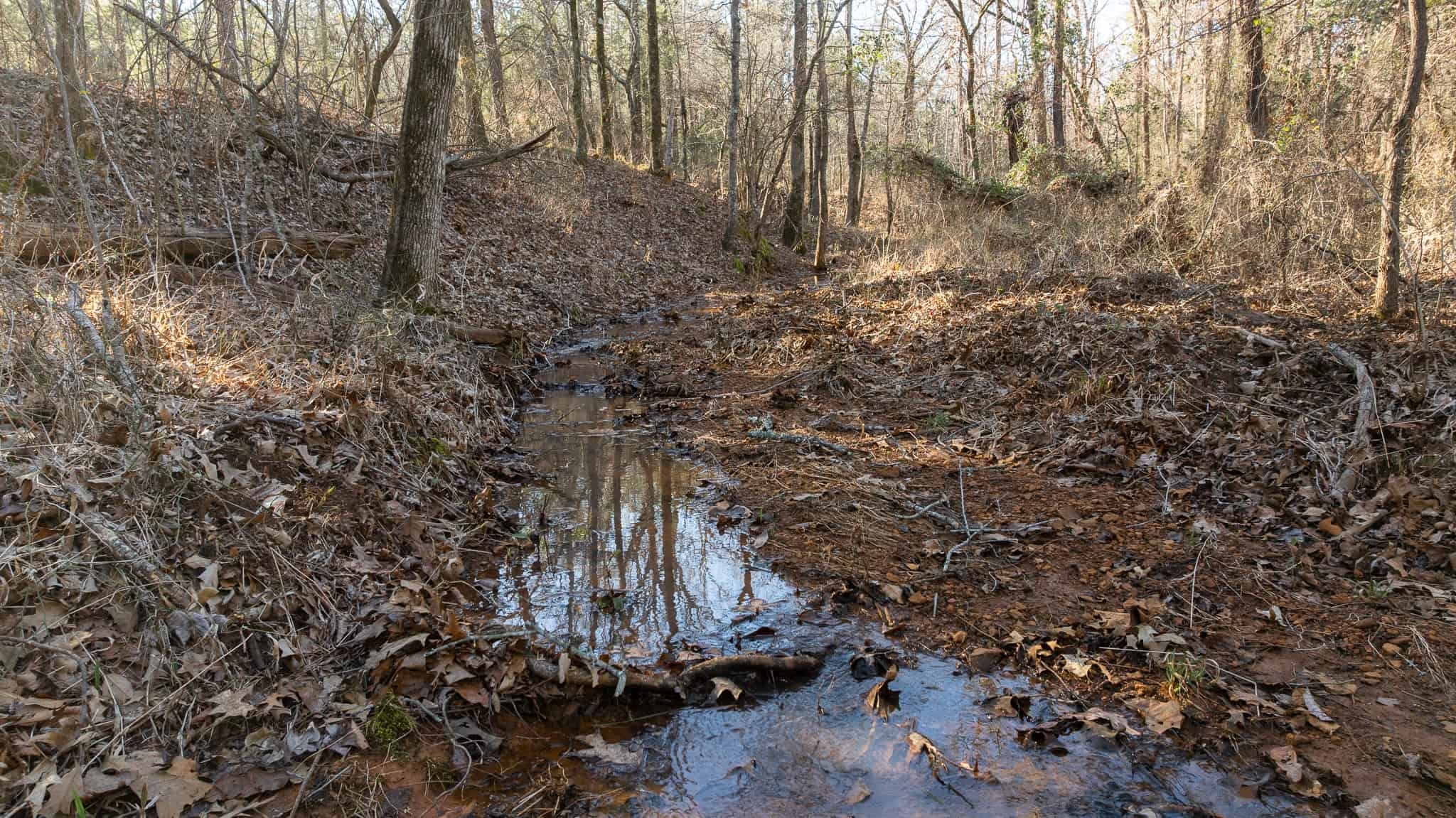 Premier East Texas Hunting & Timberland for Sale – 699 Acres in Ben Wheeler, TX