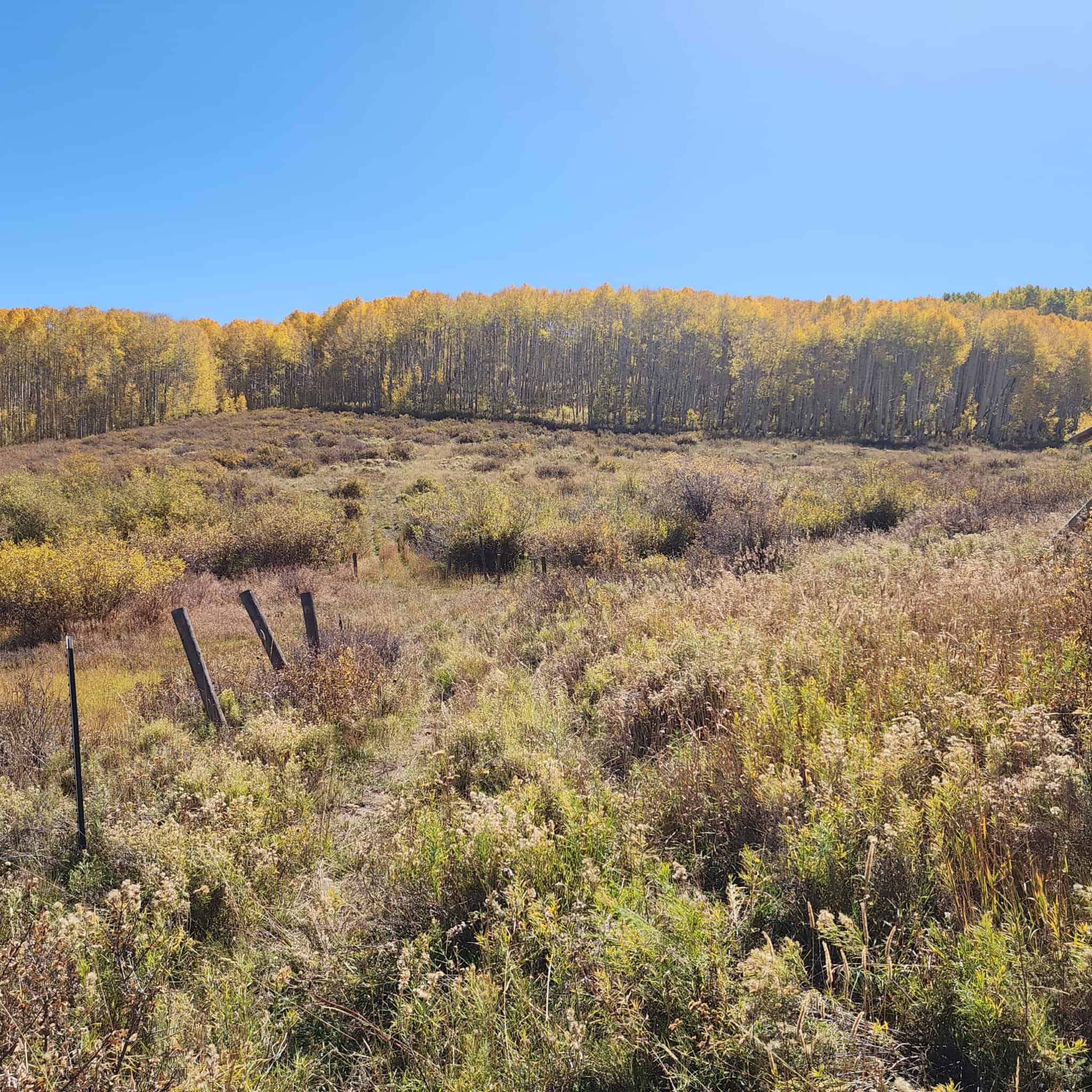 Colorado Hunting Property for Sale