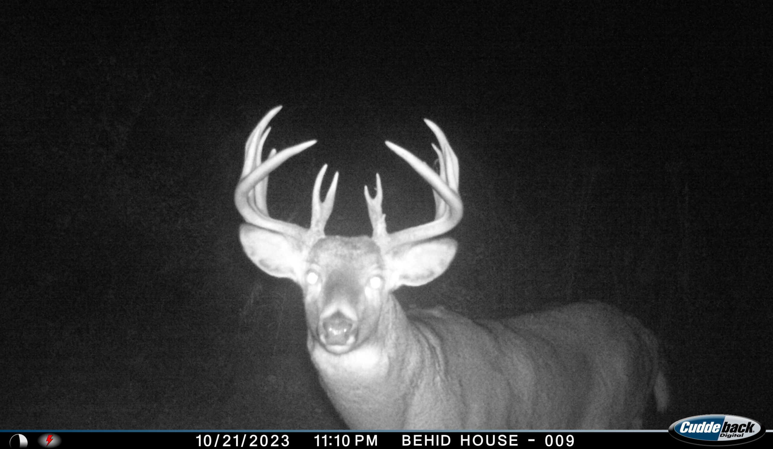 Discover S790 Wrobel Road Chaseburg Wisconsin