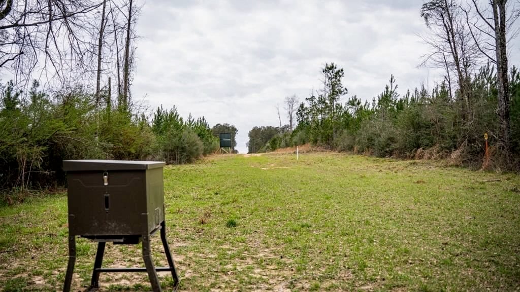 Affordable Hunting Property in Amite County