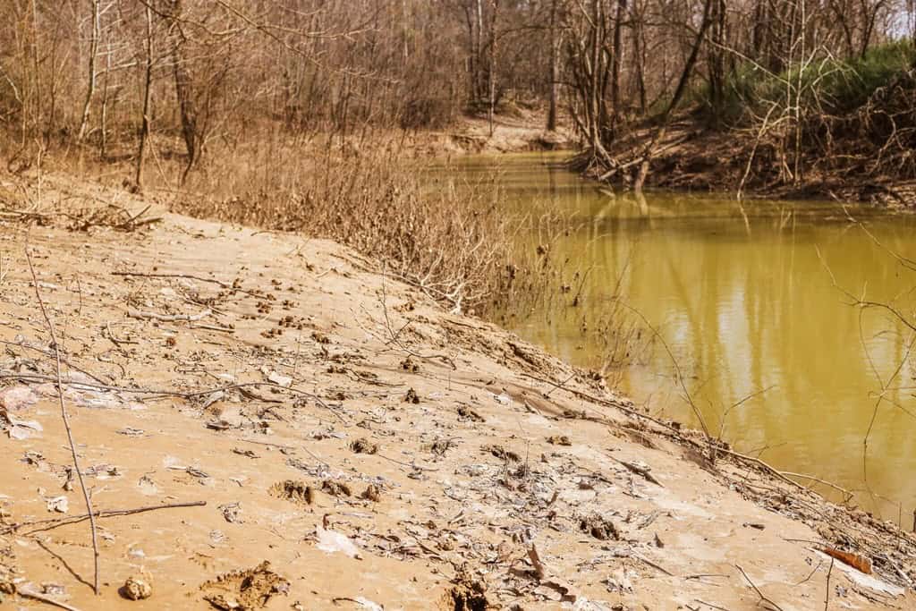 Land for Sale in Warren County, MS