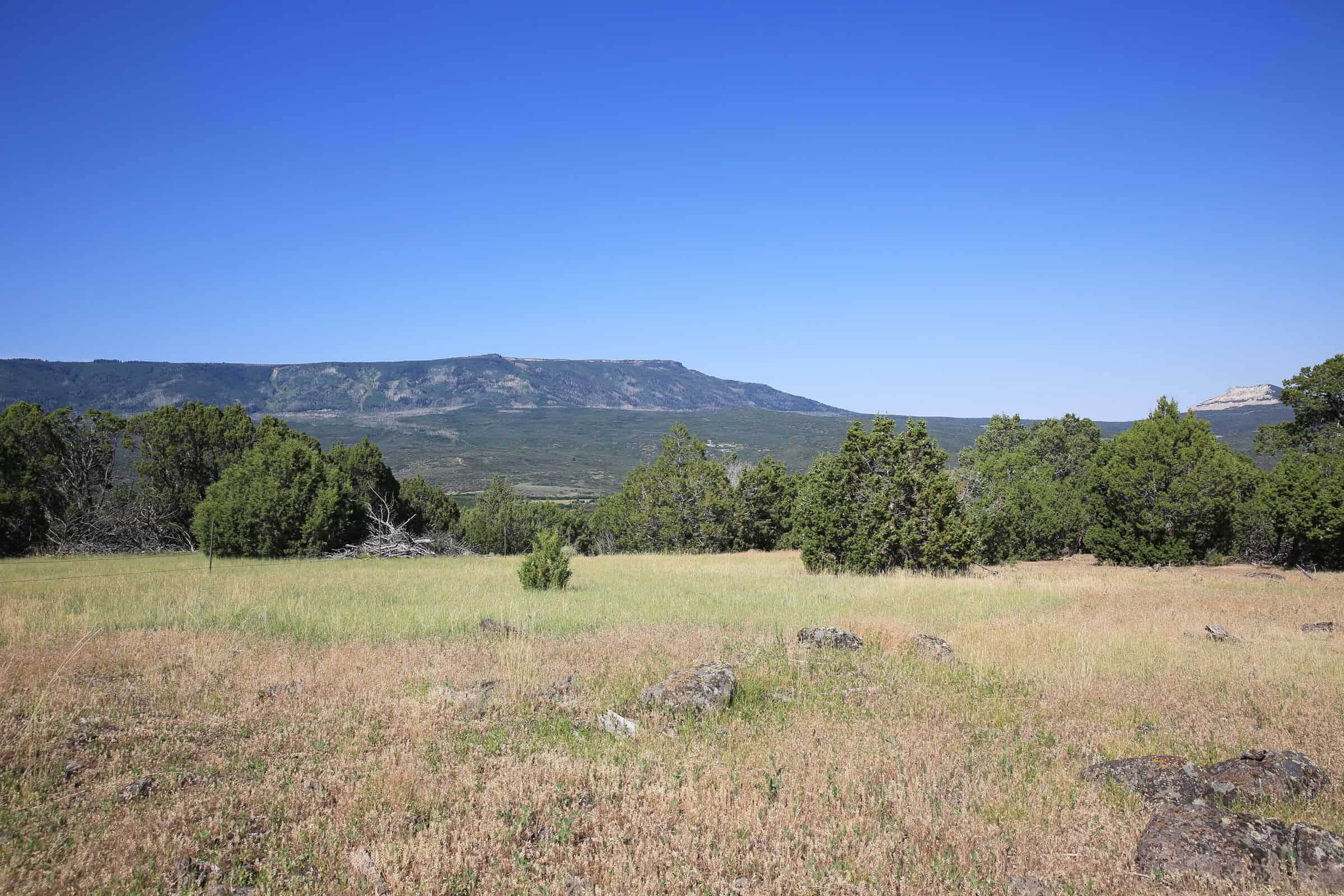 Colorado Land For Sale Borders Public Land National Forest and BLM