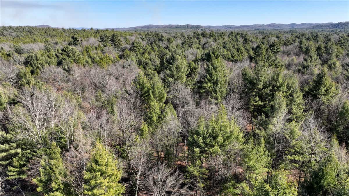 Premier Hunting and Recreational Property in Monroe County