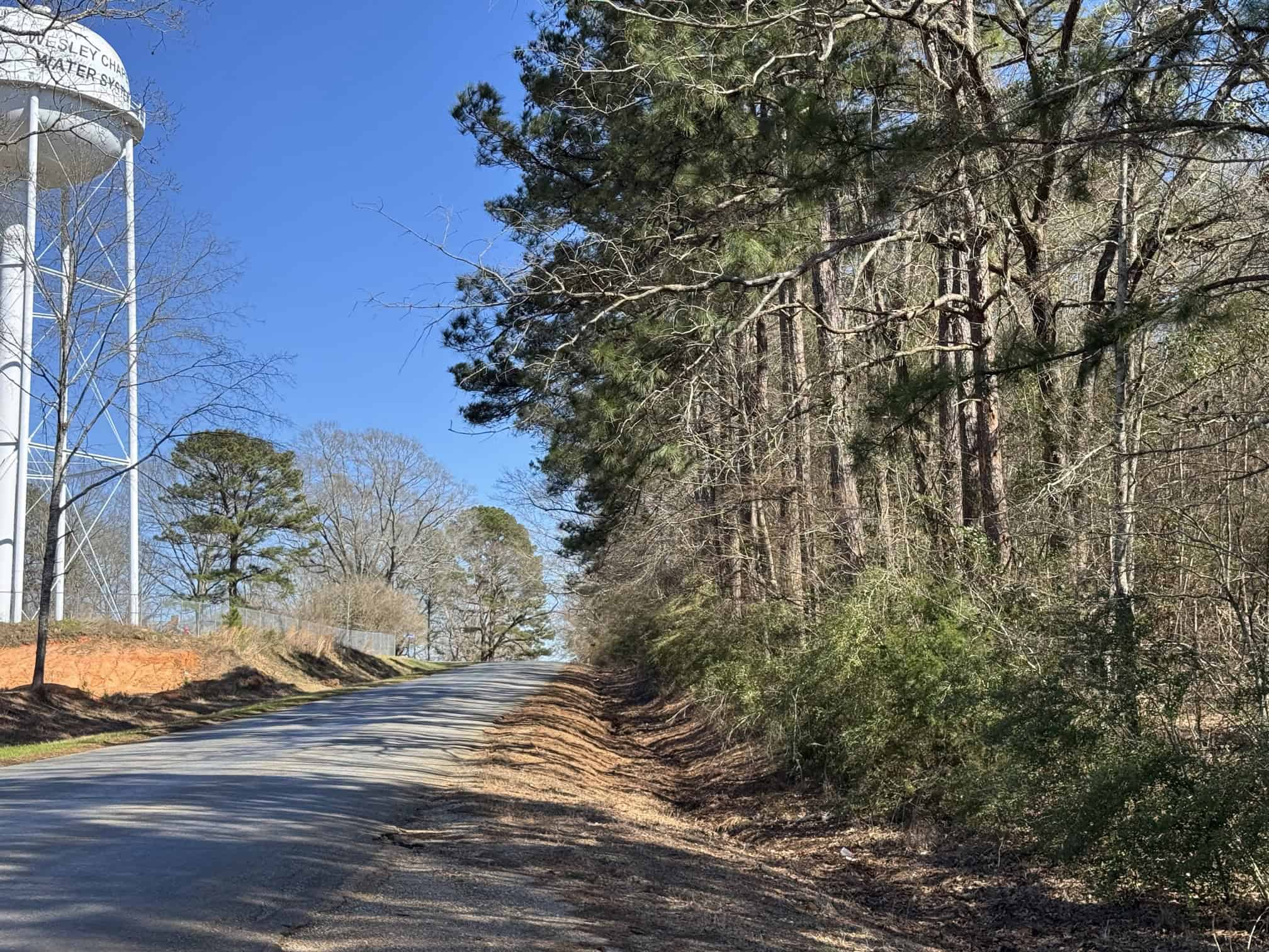 Woodville 45 – SW Lincoln Parish Timber Tract
