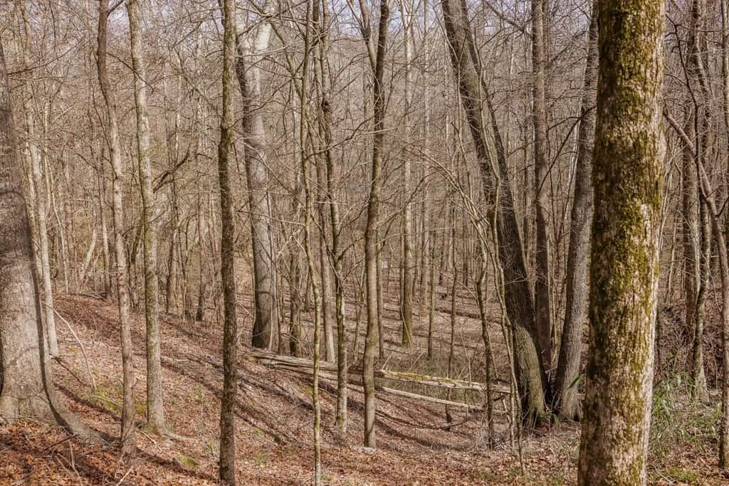 Land for Sale in Warren County, MS
