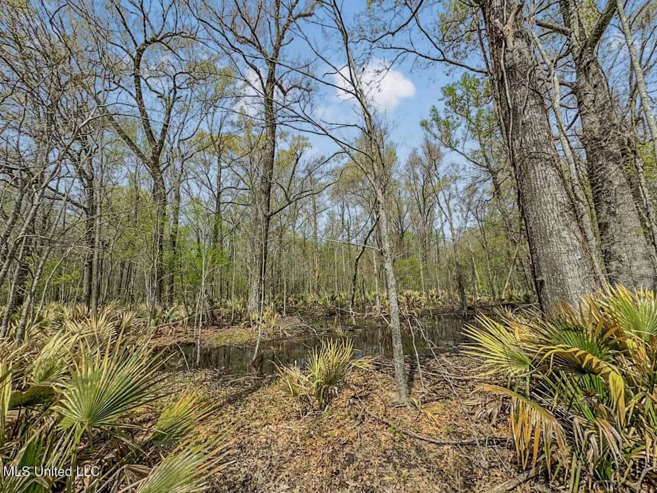 Affordable Deer/Duck Combination in Concordia Parish