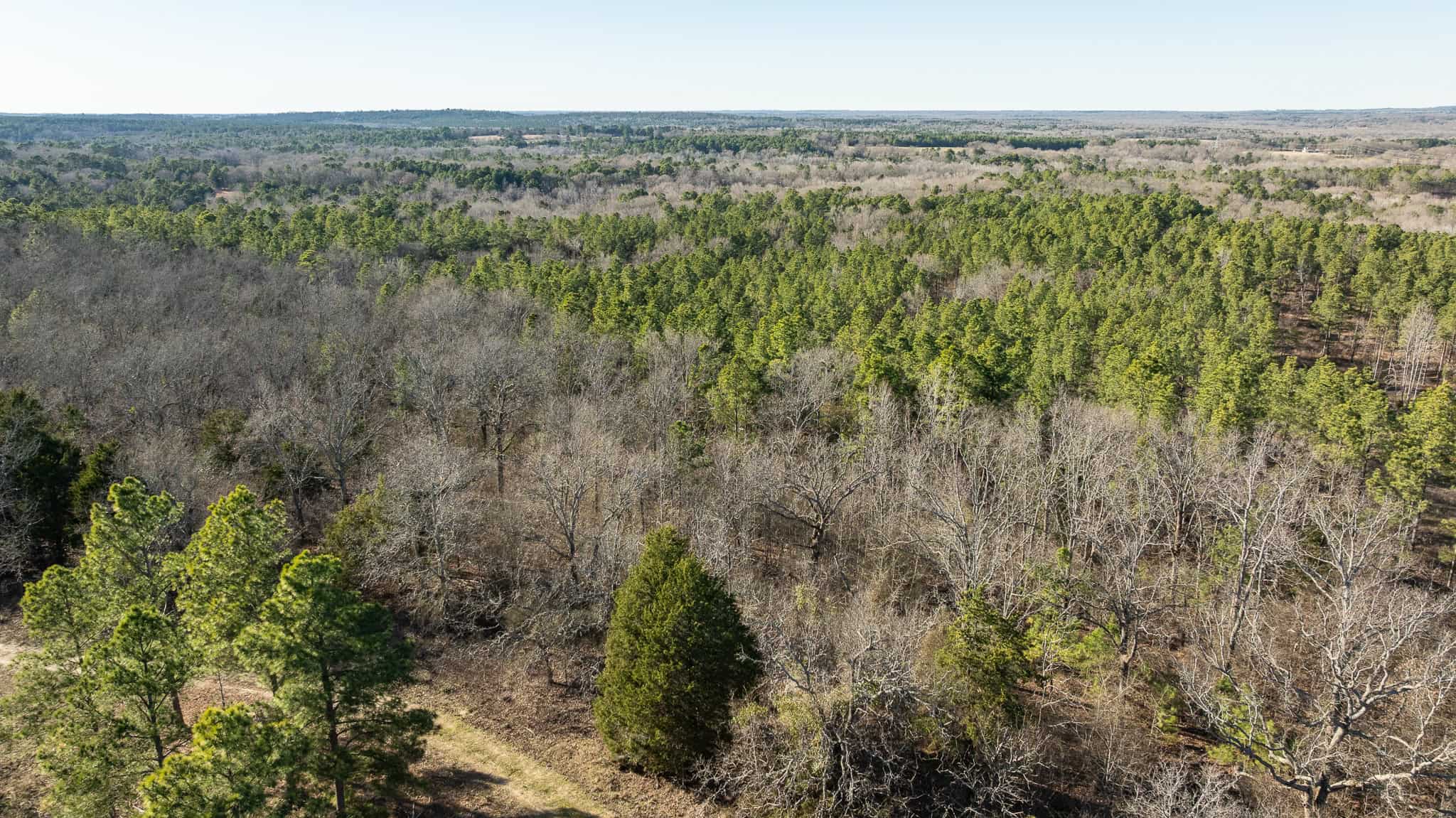 Premier East Texas Hunting & Timberland for Sale – 699 Acres in Ben Wheeler, TX