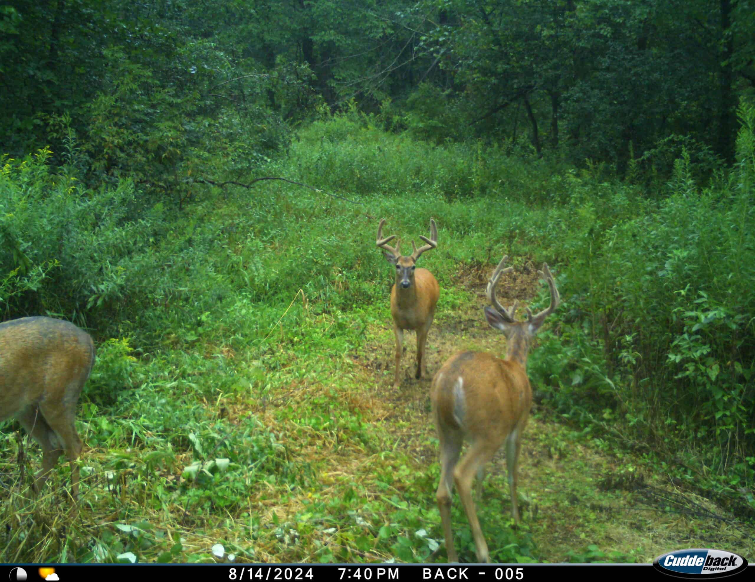 Discover S790 Wrobel Road Chaseburg Wisconsin