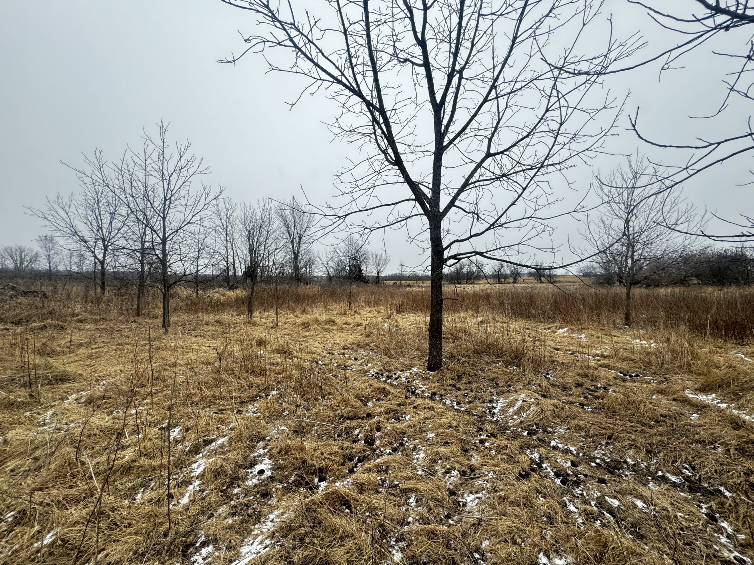 40-acre gem in Marquette County, Wisconsin