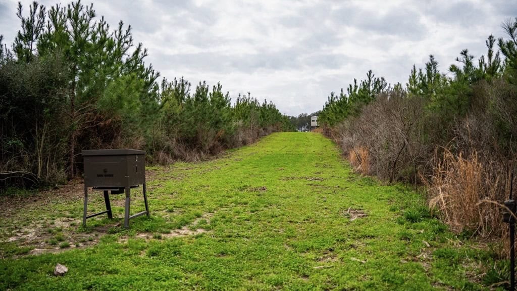 Affordable Hunting Property in Amite County