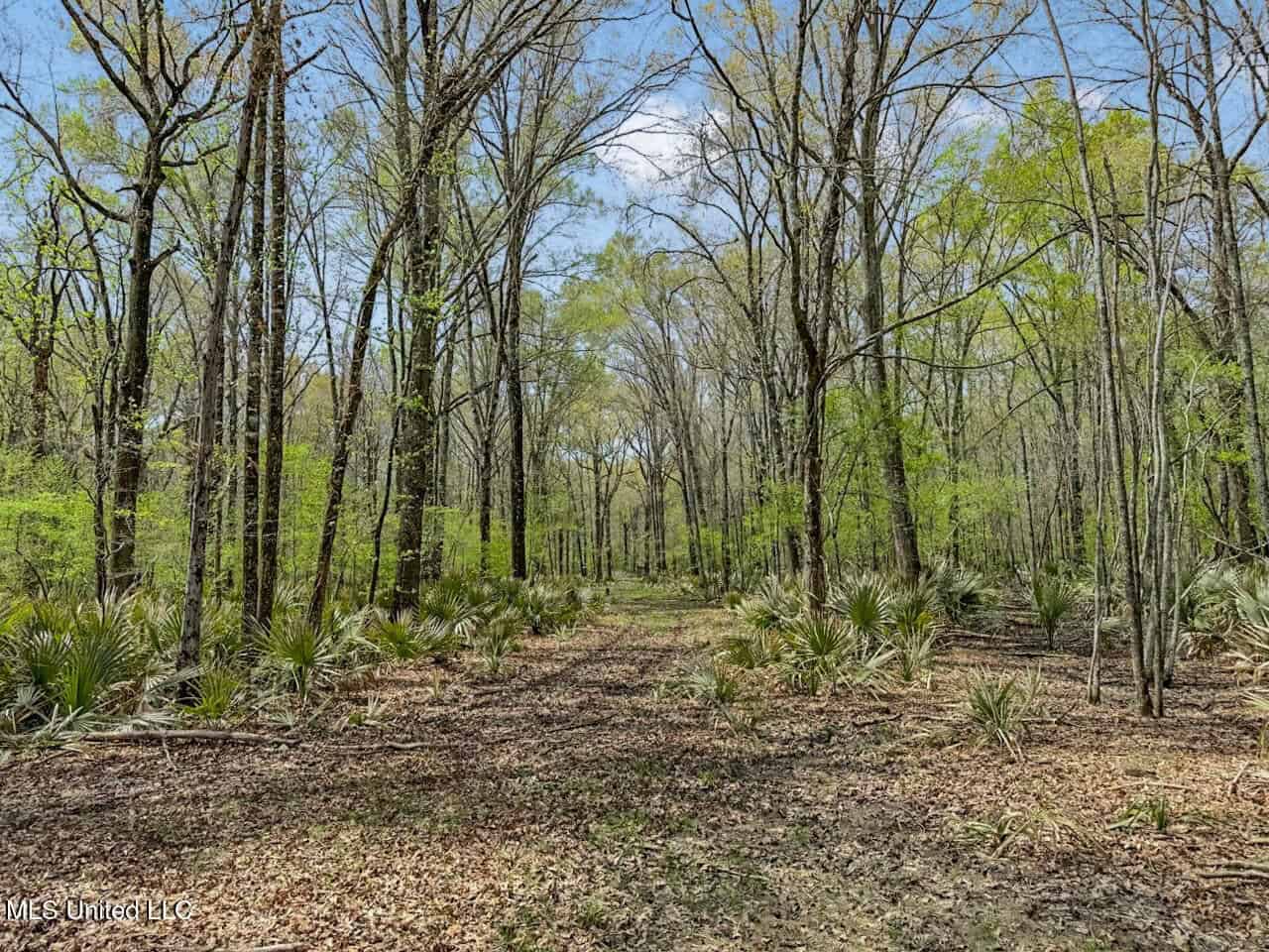 Affordable Deer/Duck Combination in Concordia Parish