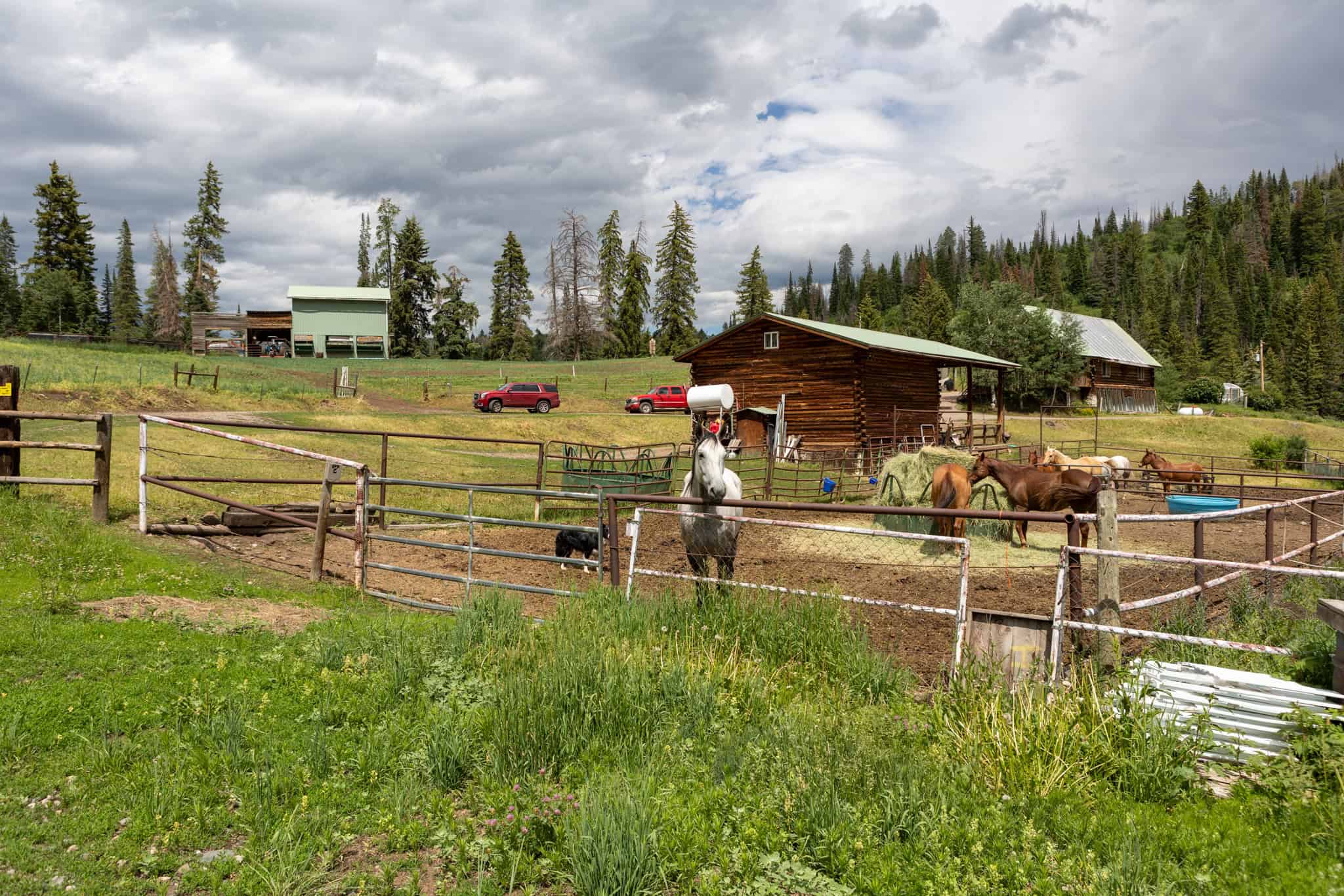 Colorado Outfitting Business for Sale Accessing National Forest