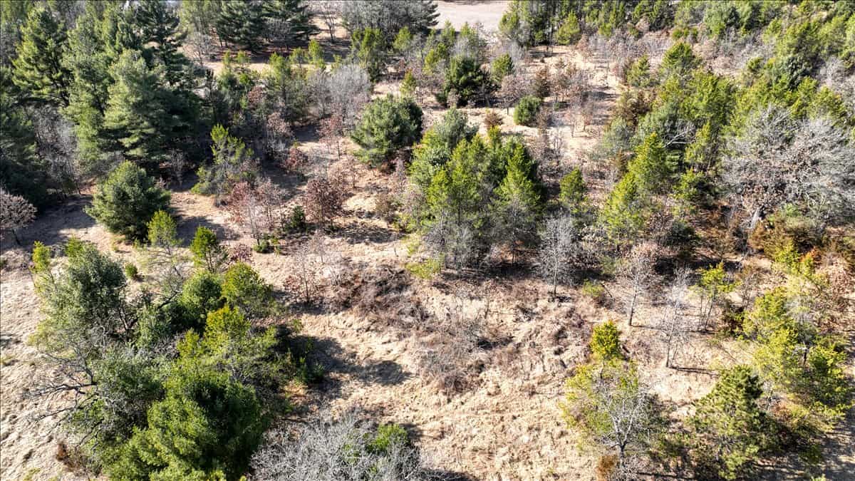 Premier Hunting and Recreational Property in Monroe County