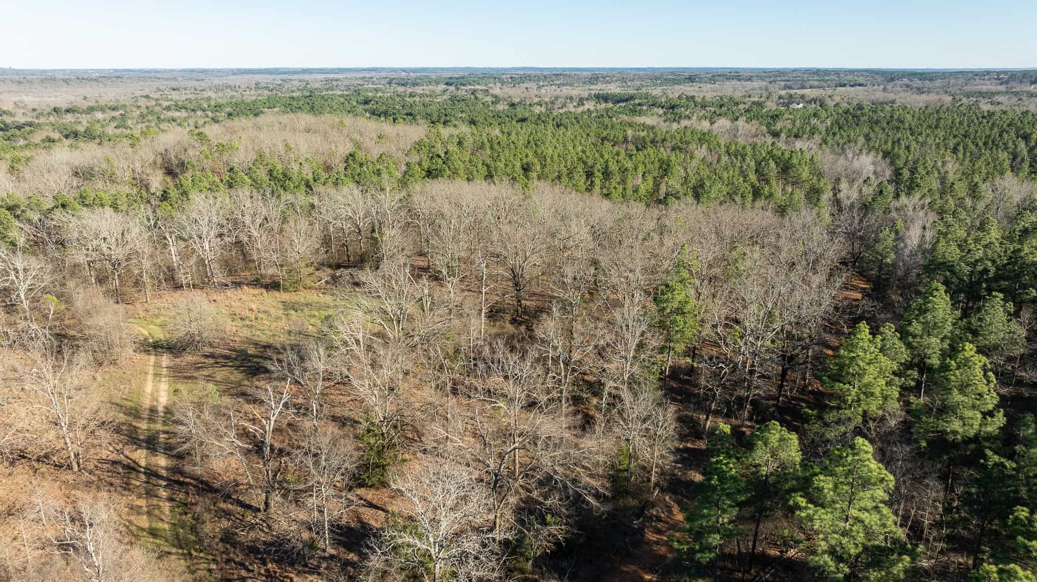 Premier East Texas Hunting & Timberland for Sale – 699 Acres in Ben Wheeler, TX