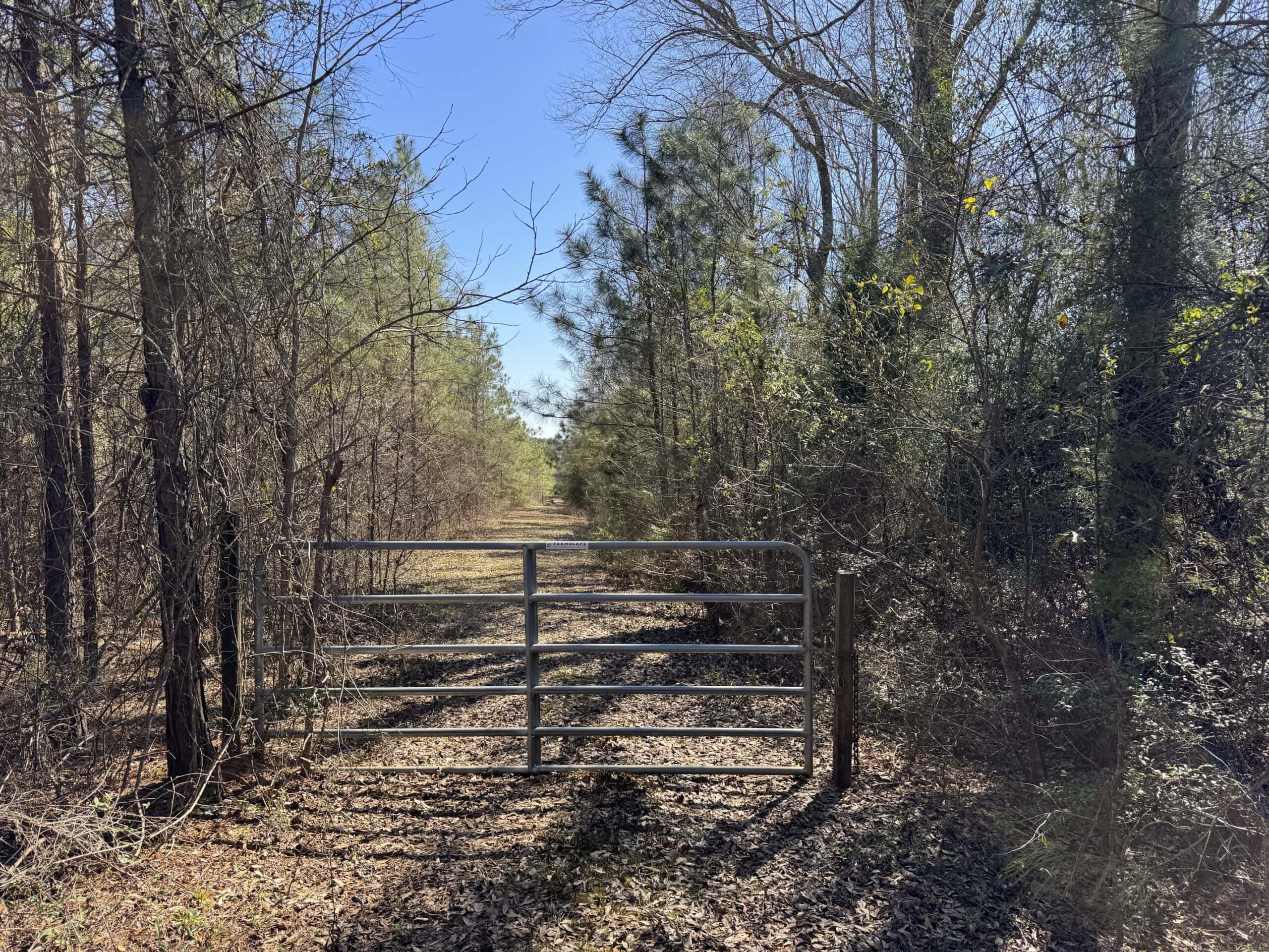 Woodville 54 – SW Lincoln Parish Timber Tract