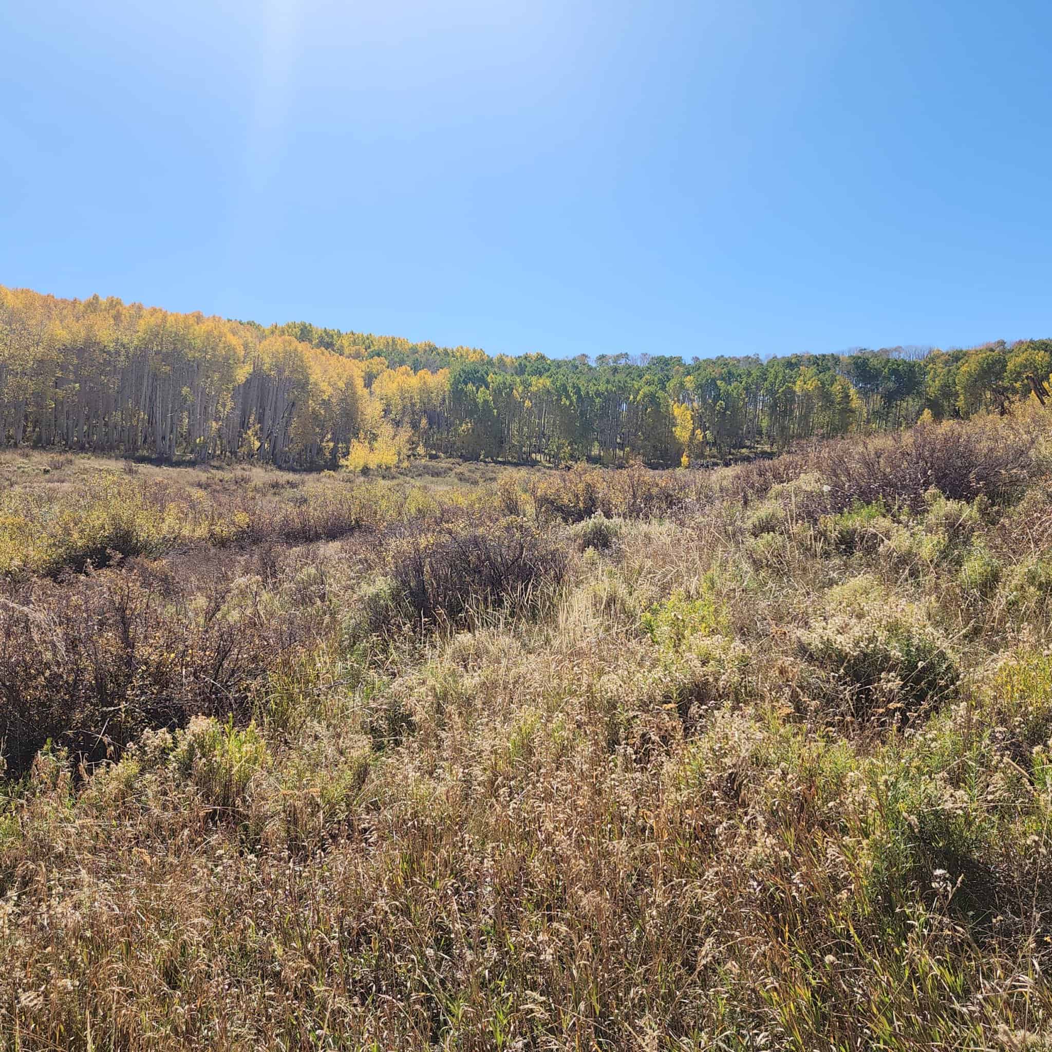 Colorado Hunting Property for Sale