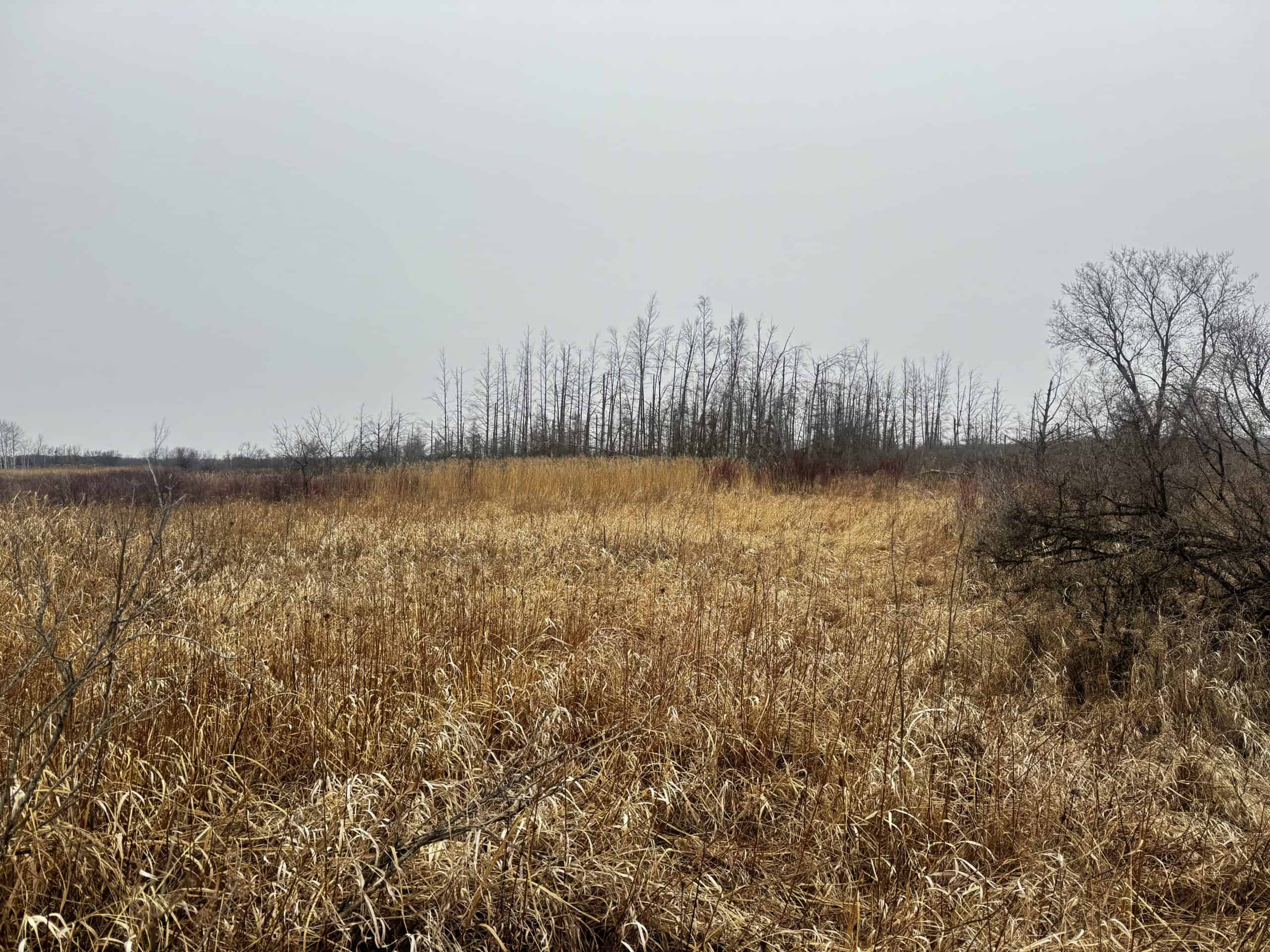 40-acre gem in Marquette County, Wisconsin