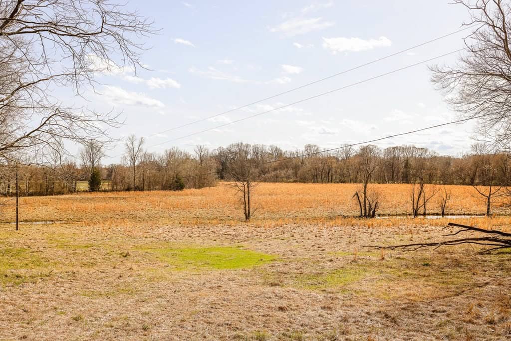 Land for Sale in Warren County, MS