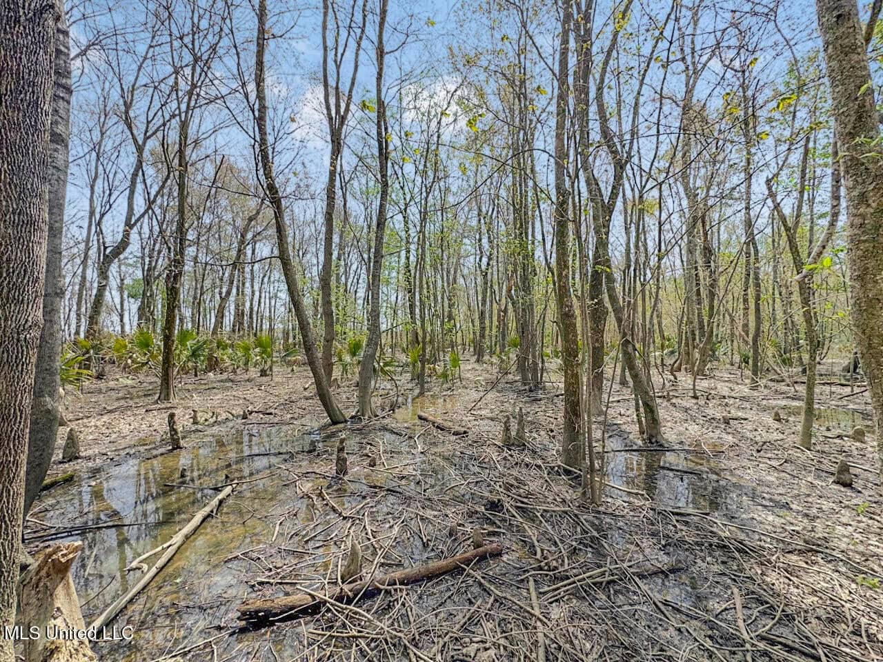 Affordable Deer/Duck Combination in Concordia Parish