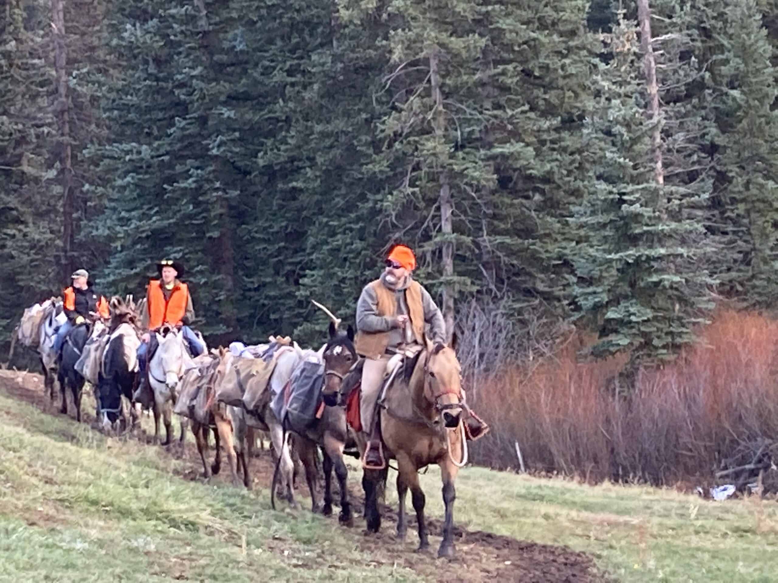 Colorado Outfitting Business for Sale Accessing National Forest