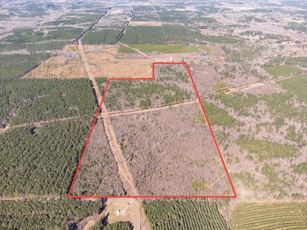 Woodville 54 – SW Lincoln Parish Timber Tract