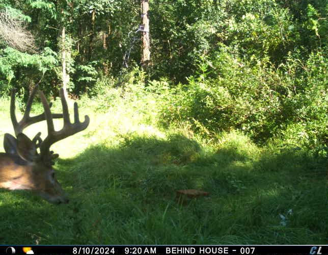Discover S790 Wrobel Road Chaseburg Wisconsin